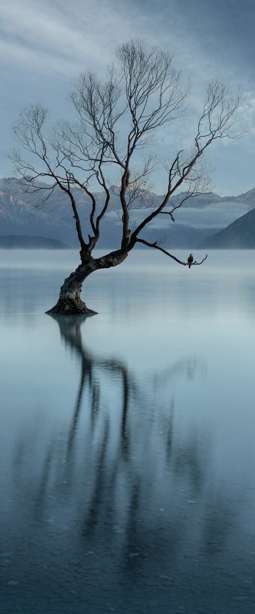 Tranquility Tree by Nick Psomiadis