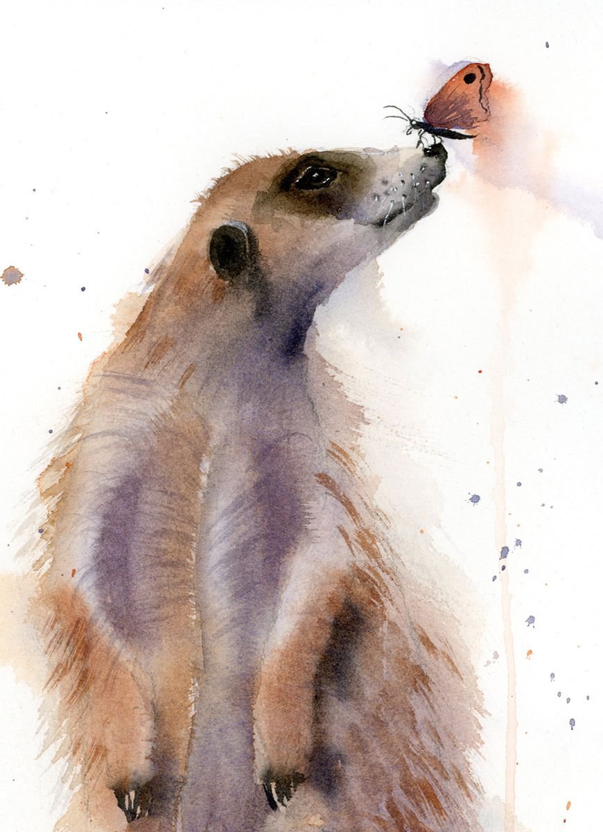 Meerkat with butterfly