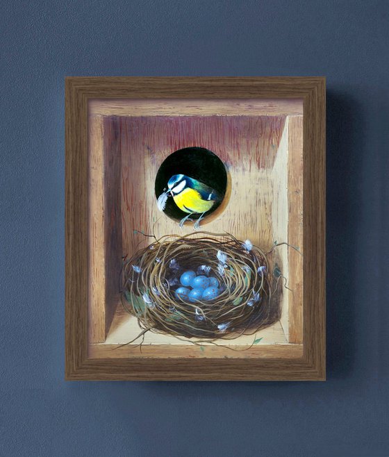 Secret Box - Blue Tit Nest