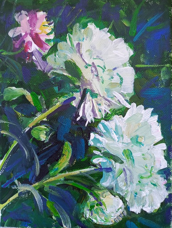 Peonies from the Garden 2