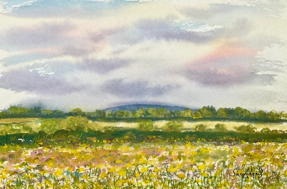 In the buttercup meadow