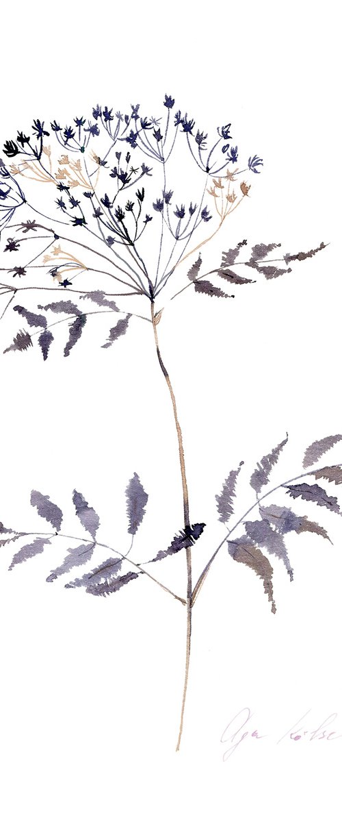 Dried Grass Collection 2 by Olga Koelsch