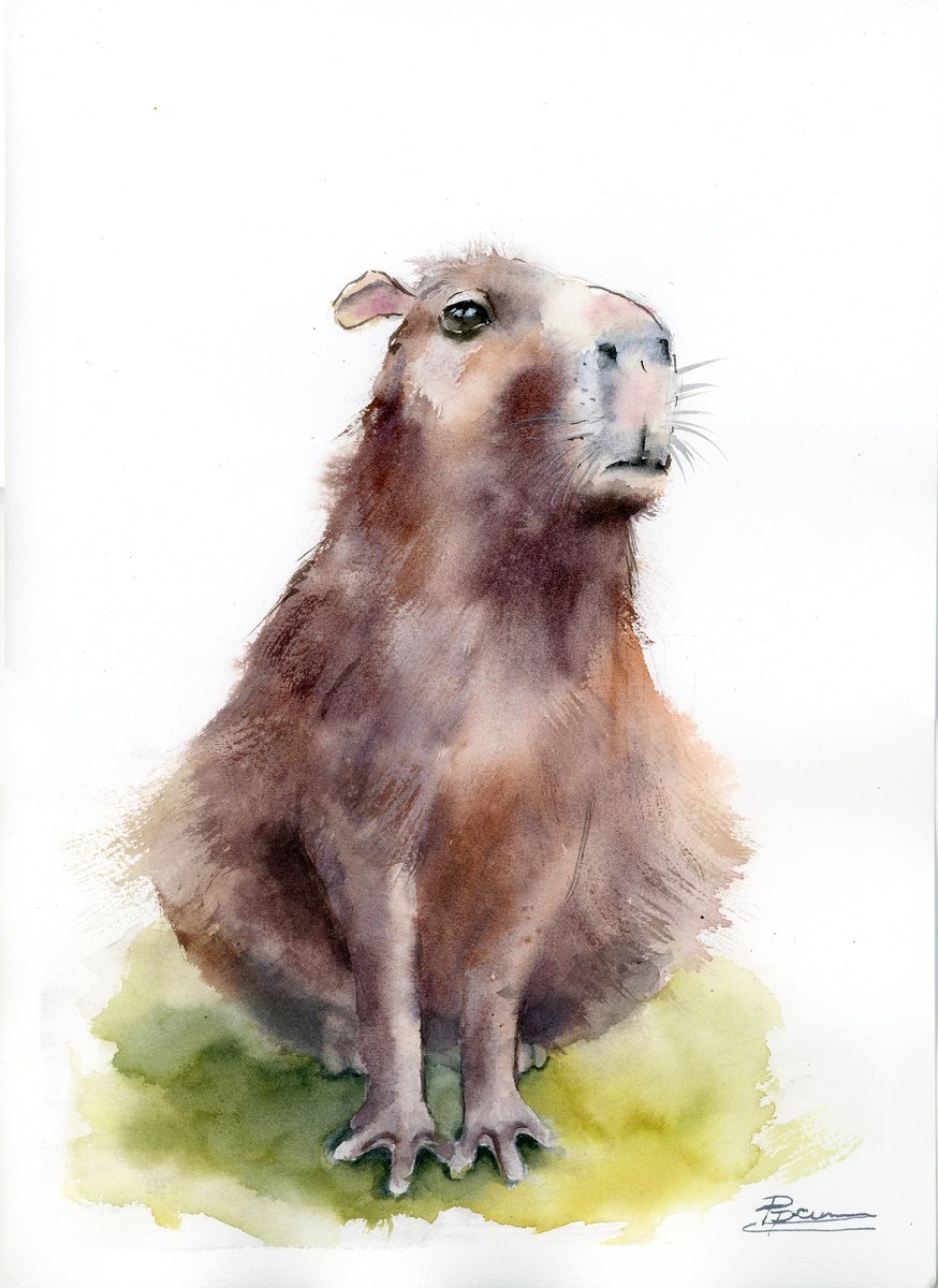 Expressive Animal Watercolour By Olga Tchefranov (Shefranov), 10 X 14", Capybara #2, Original Artwork