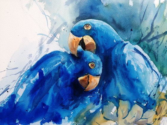 parrot 15