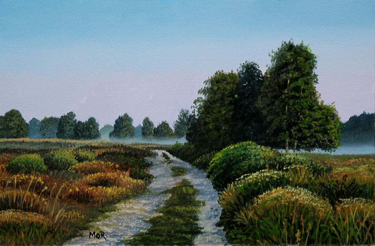 Heathland by Dietrich Moravec