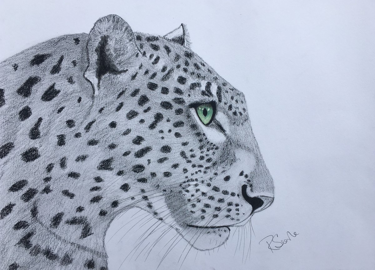 Leopard by Ruth Searle
