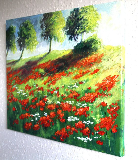 A Smile of Poppies in the Sun