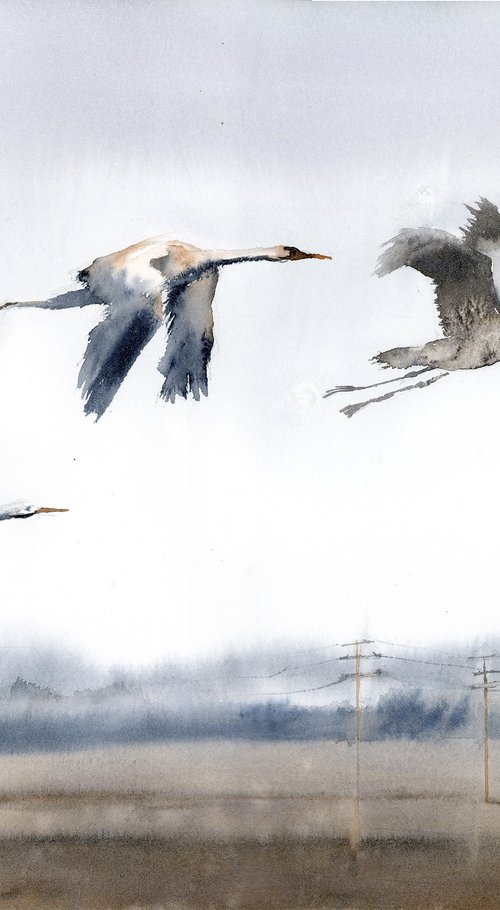 Flight of the Cranes by Olga Tchefranov (Shefranov)