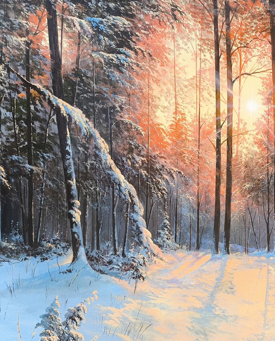 Dawn in the Winter Forest