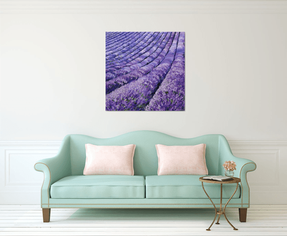 Lavender Dusk