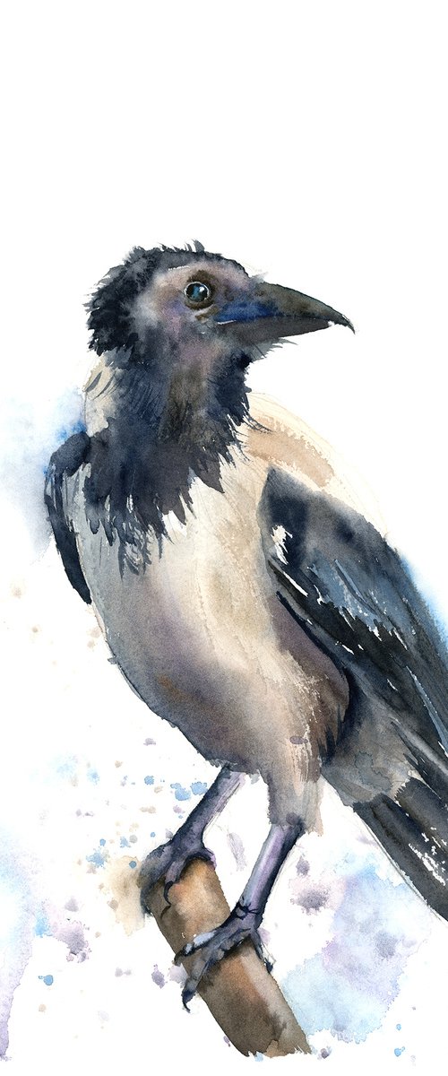 Crow on a branch by Olga Tchefranov (Shefranov)