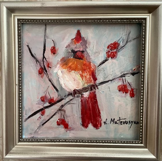 Blue Jay, Cardinal