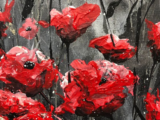 Textured Red Poppies