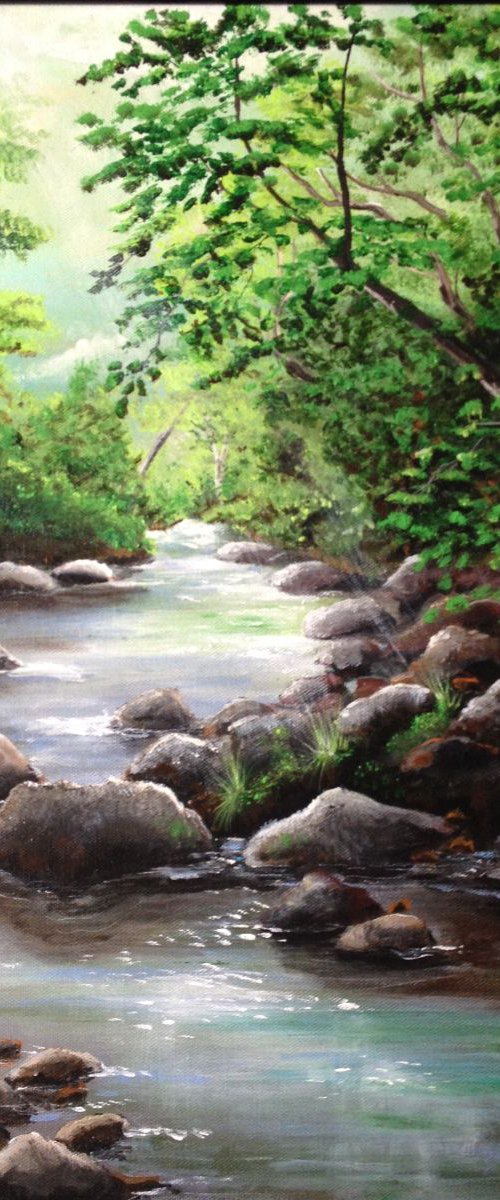 Smoky Mountain Stream by Donna Daniels