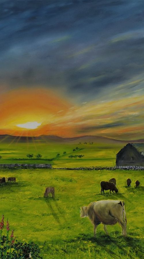 Sunset over the feilds of gwynedd  92cm x 122cm by Hazel Thomson