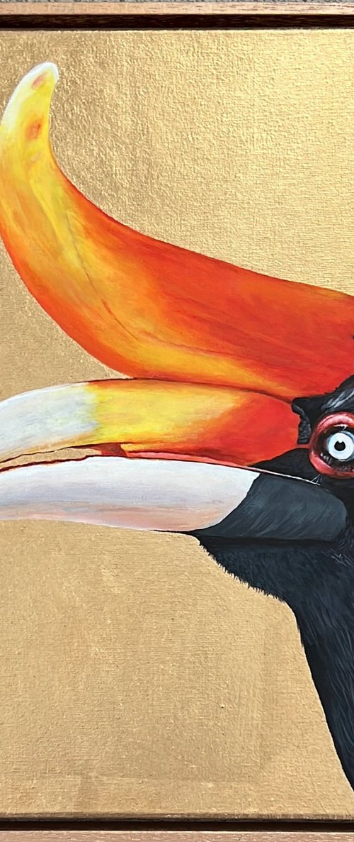 Rhinoceros Hornbill by Irina Maier