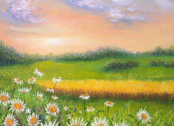 Daisy meadow