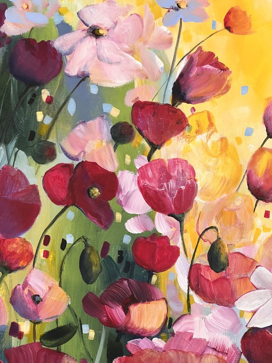 Poppies Land 3