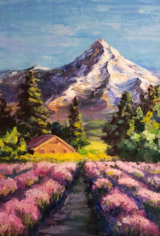 Lavender fields mountains