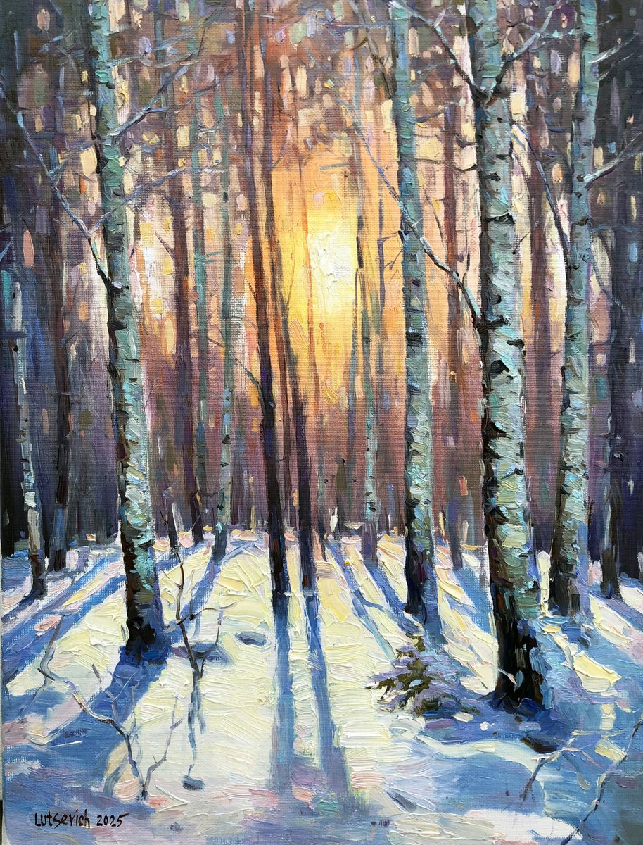 Winter forest. Birches by Vladimir Lutsevich