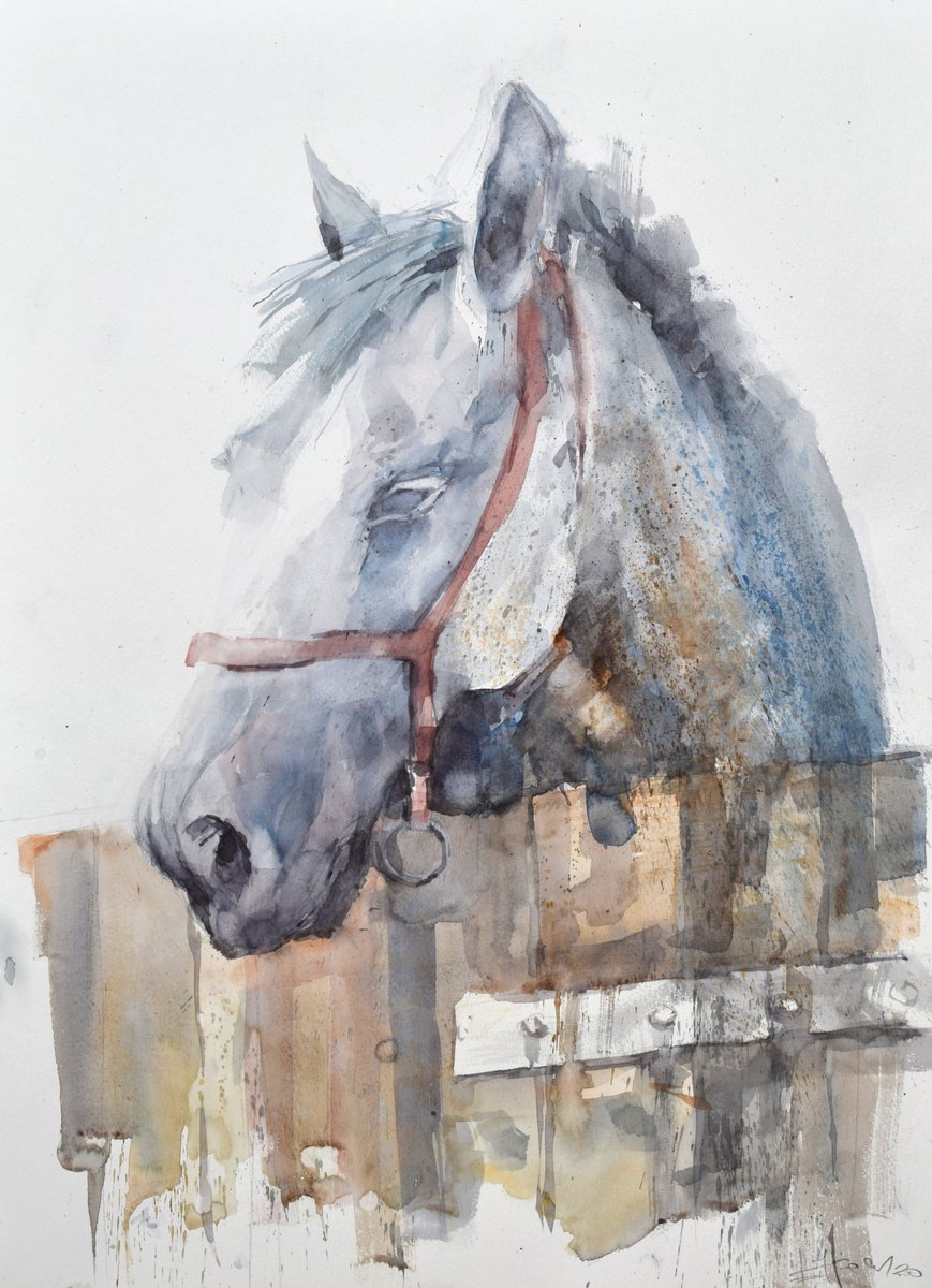 Head of horse 09(70x50) by Goran igoli? Watercolors
