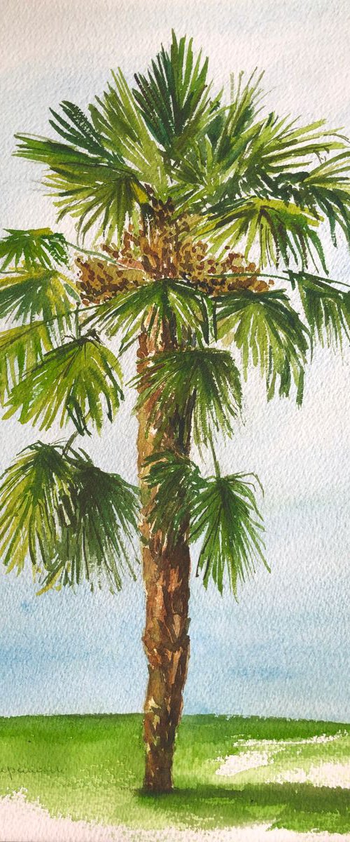 Palm tree - plein air by Krystyna Szczepanowski