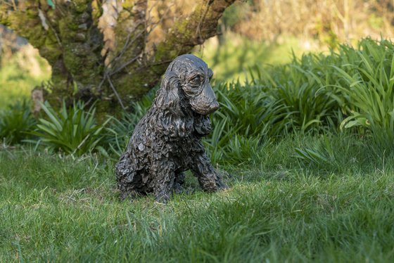 Sitting Cocker Spaniel BR