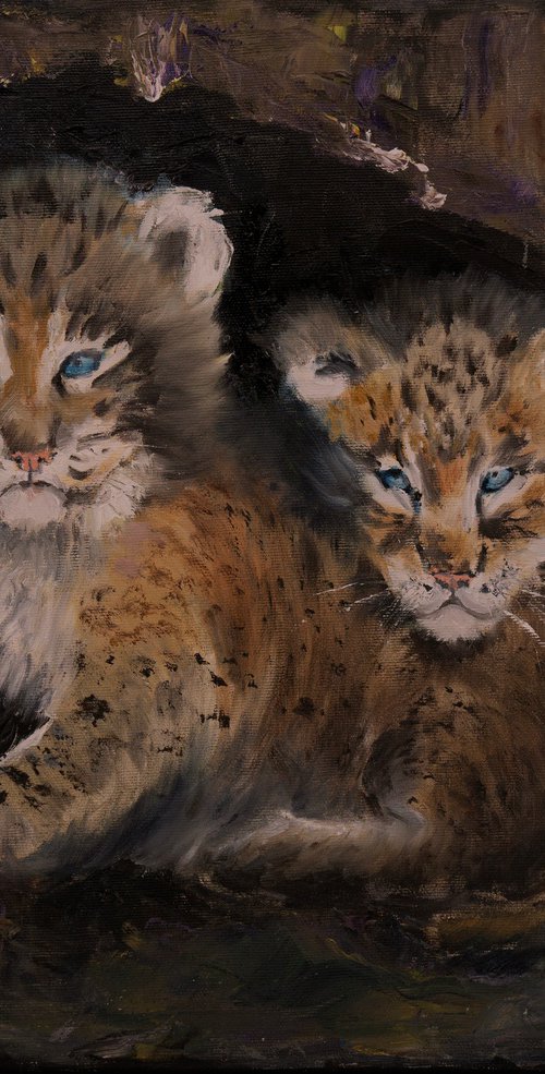 Lynx Cubs by Olga Tchefranov (Shefranov)