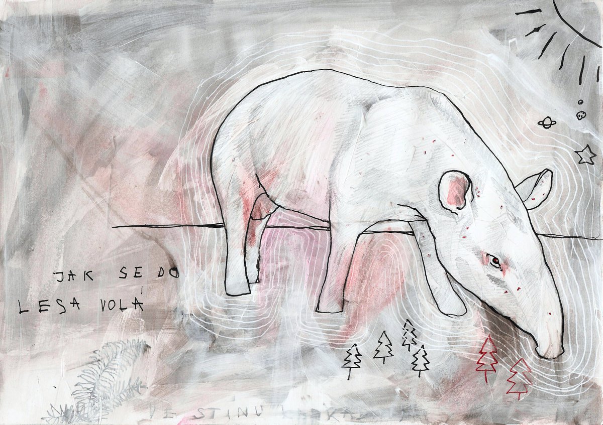 Tapir by Zuzana Raichlova