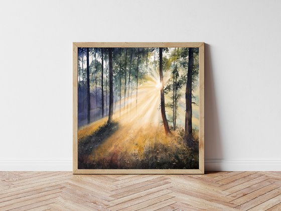 Whispers of Morning Light