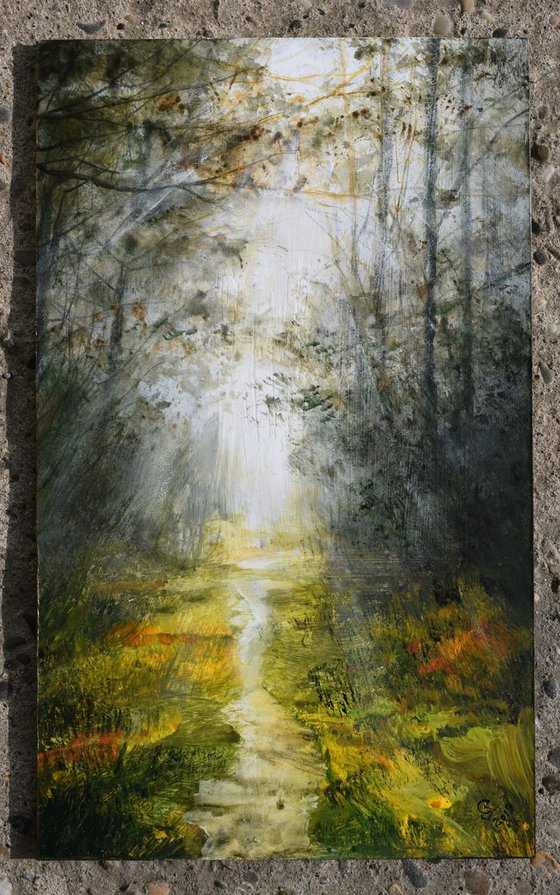 " The path of light "  SPECIAL PRICE!!!