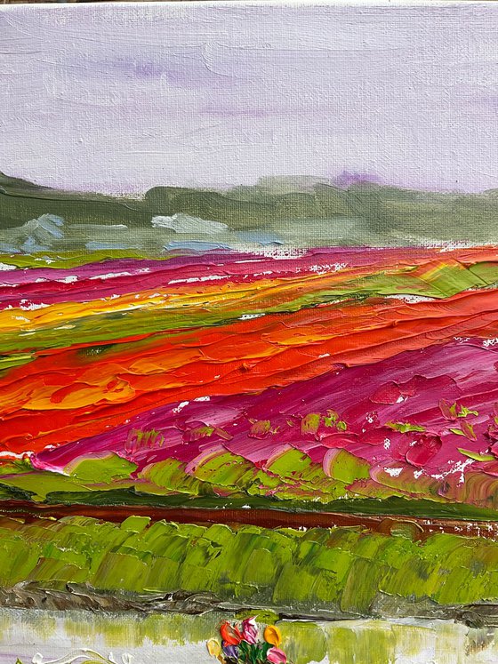 Tulip Fields Serenity