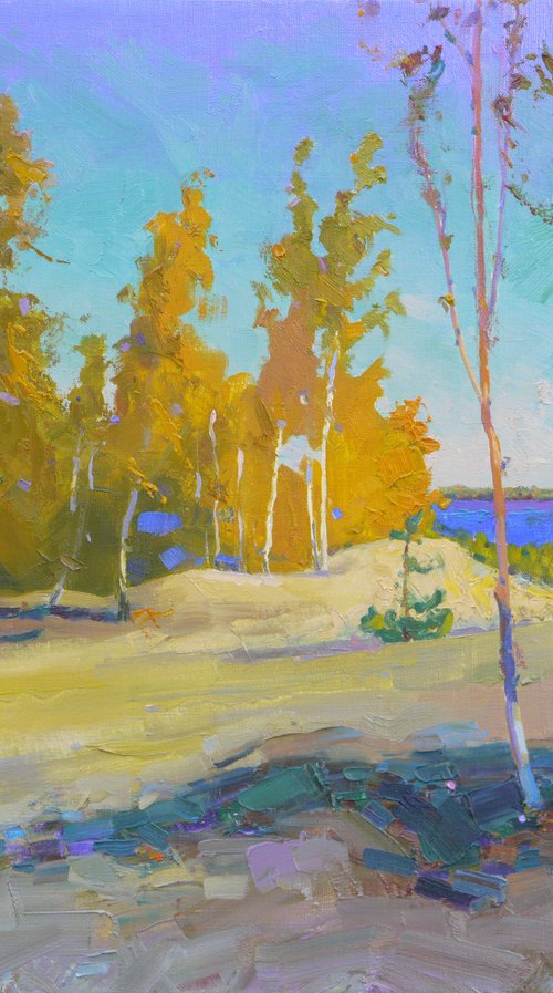 Autumn near the Dnipro River by Victor Onyshchenko