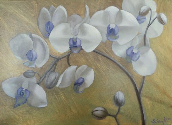 `White orchids in gold`