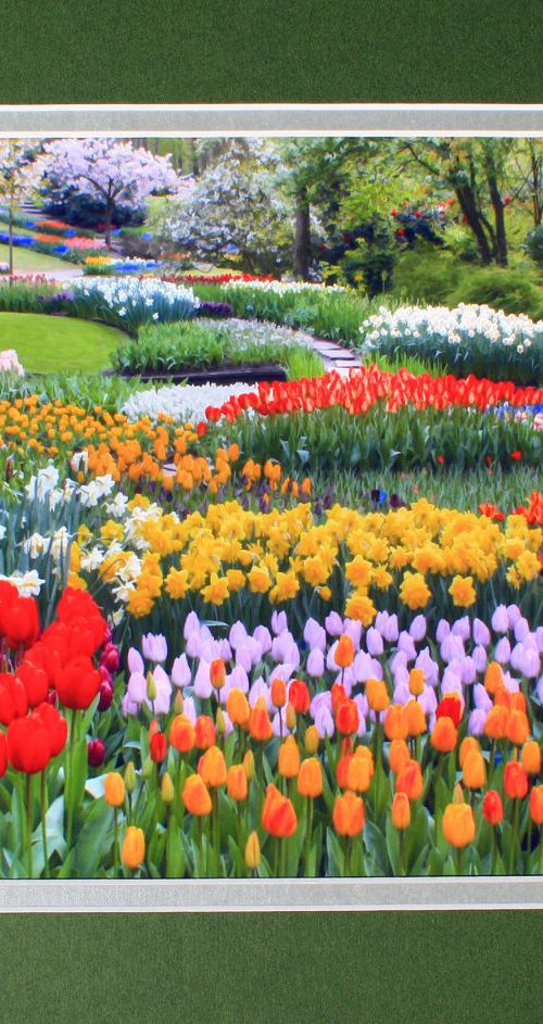 Keukenhof Gardens Netherlands by Robin Clarke