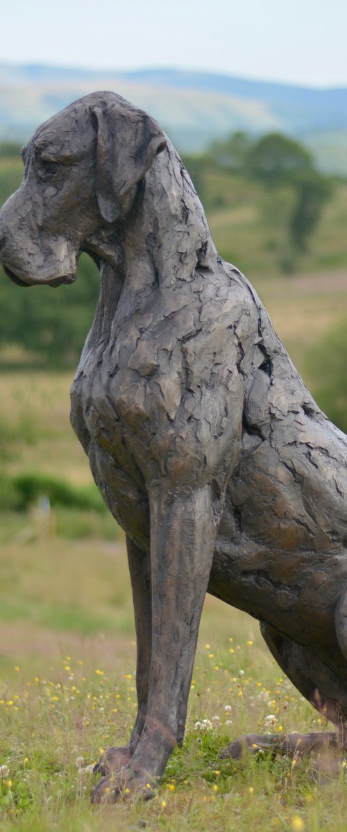 Great Dane Bronze Resin by Tanya Russell