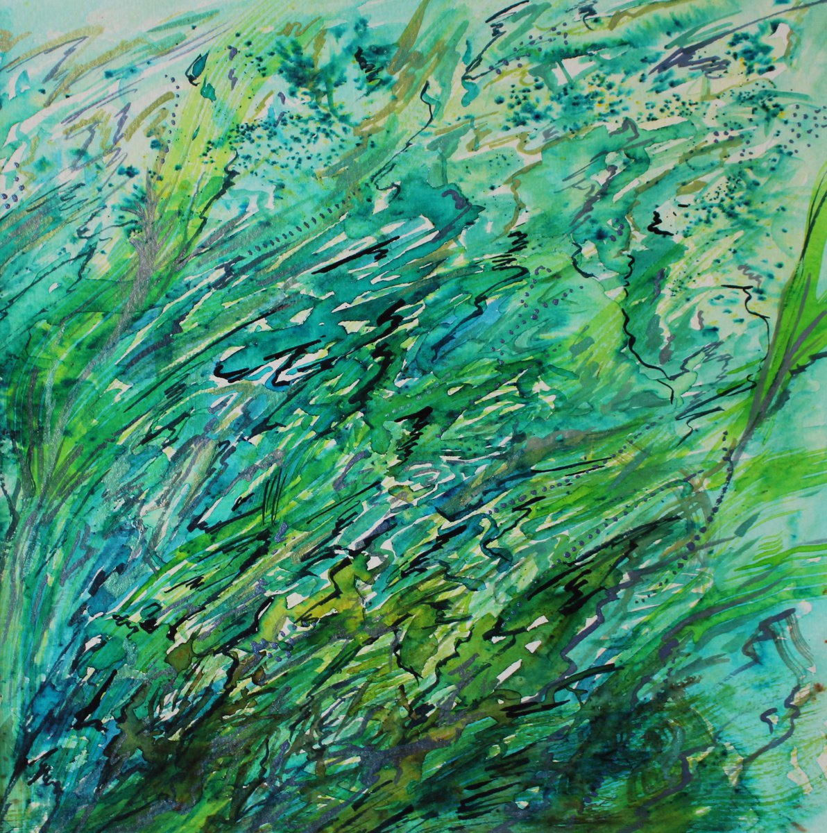 Seaweeds by Julia Preston