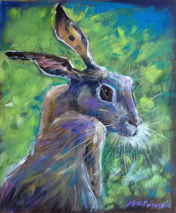 Sassy Hare