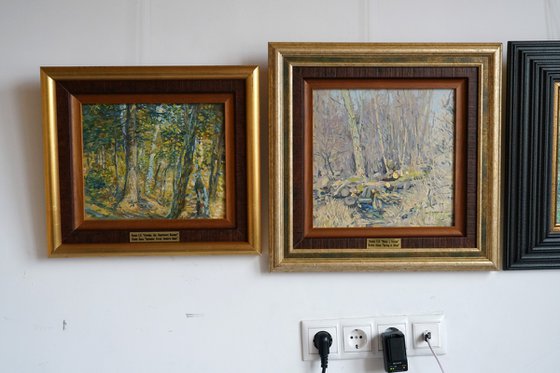September. Forest. Surroundings of Ilyinki