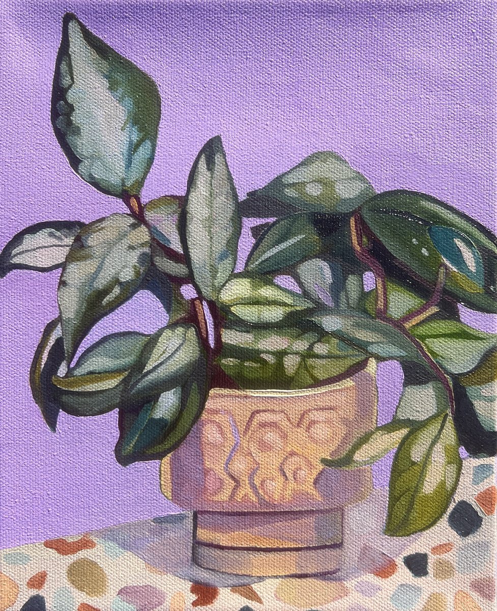 Impressionistic Botanical Oil Painting By Anna Bergin, 8 X 10, Hoya On Travertine 1, Original Artwork