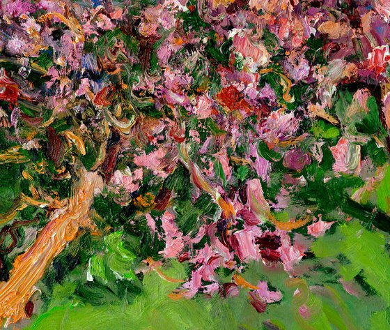 Blooming Peach Trees