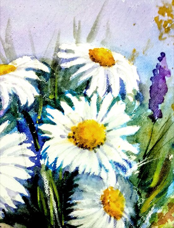 Daisies nodding in the breeze 2