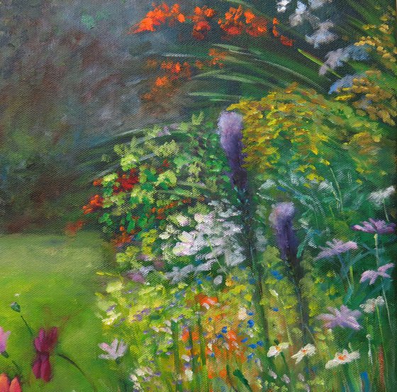 Poppies in my Garden
