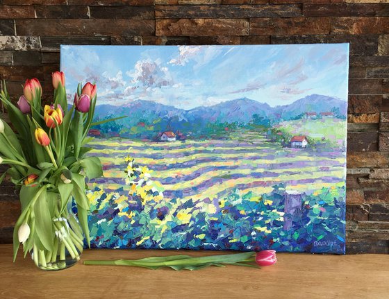 "The vineyards of Haloze"
