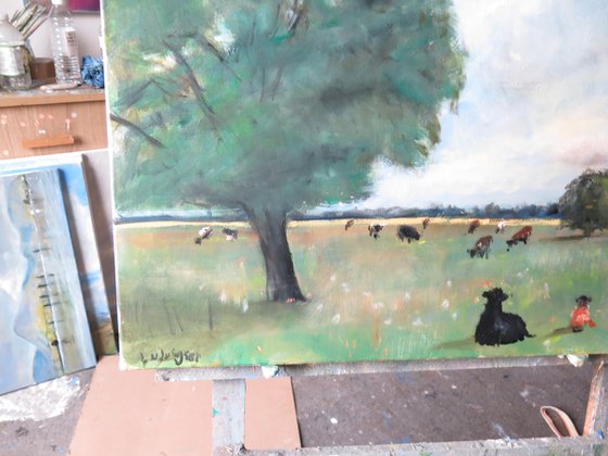 Cow Meadow