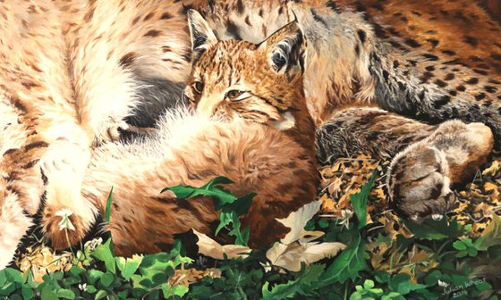 Lynx and cub