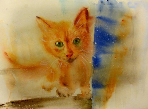 Kitten. Peekaboo by Nastasia Chertkova