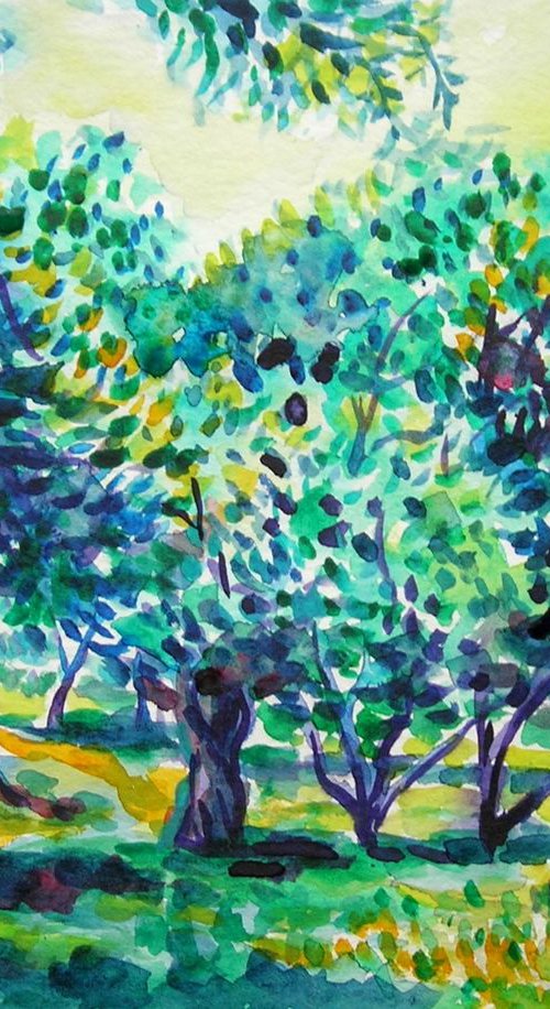 Old olive orchard III by Maja Grecic