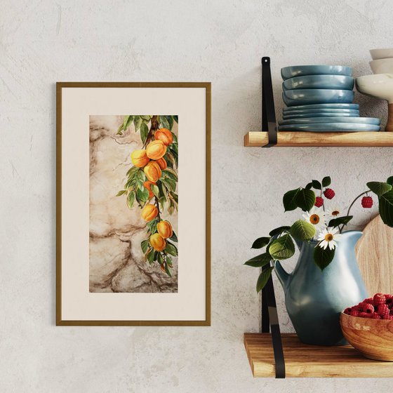 Whispers Through the Wall – Apricots