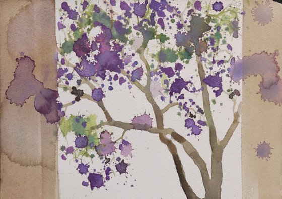 Violet blossoms